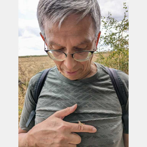 Alain Soubrier